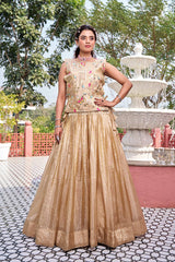 New Launching Wedding collection Lehenga Choli